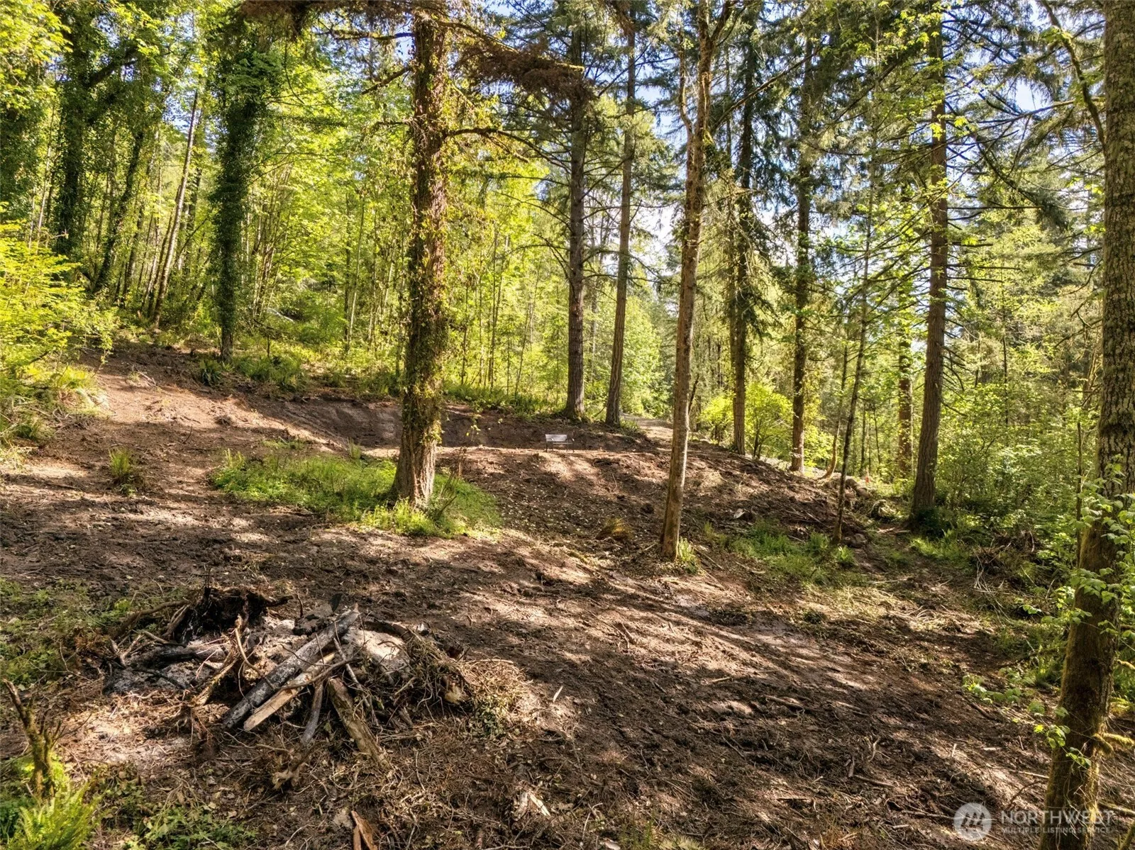 Property photo for 147 Old Spreadborough Road, Kalama photo 4