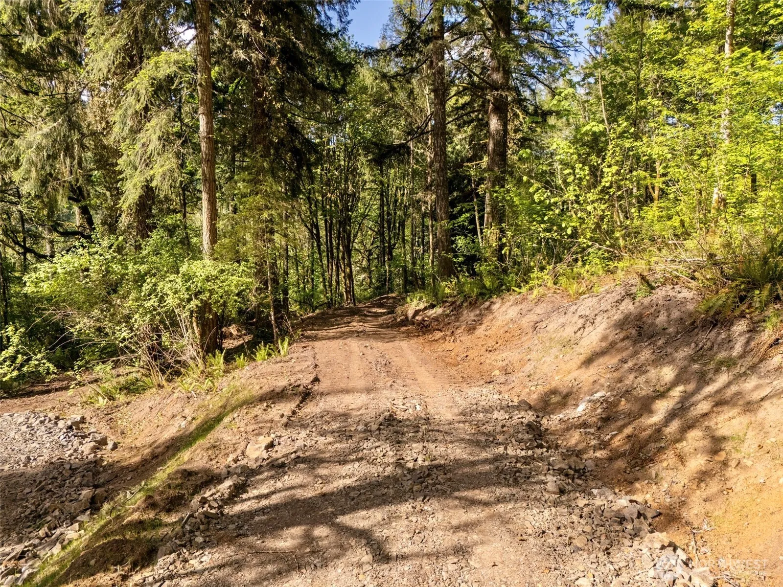 Property photo for 147 Old Spreadborough Road, Kalama
