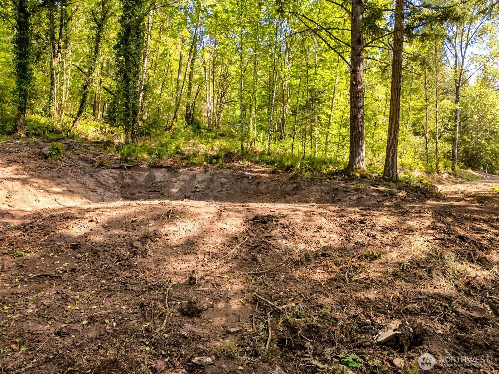 Property photo for 147 Old Spreadborough Road, Kalama photo 3