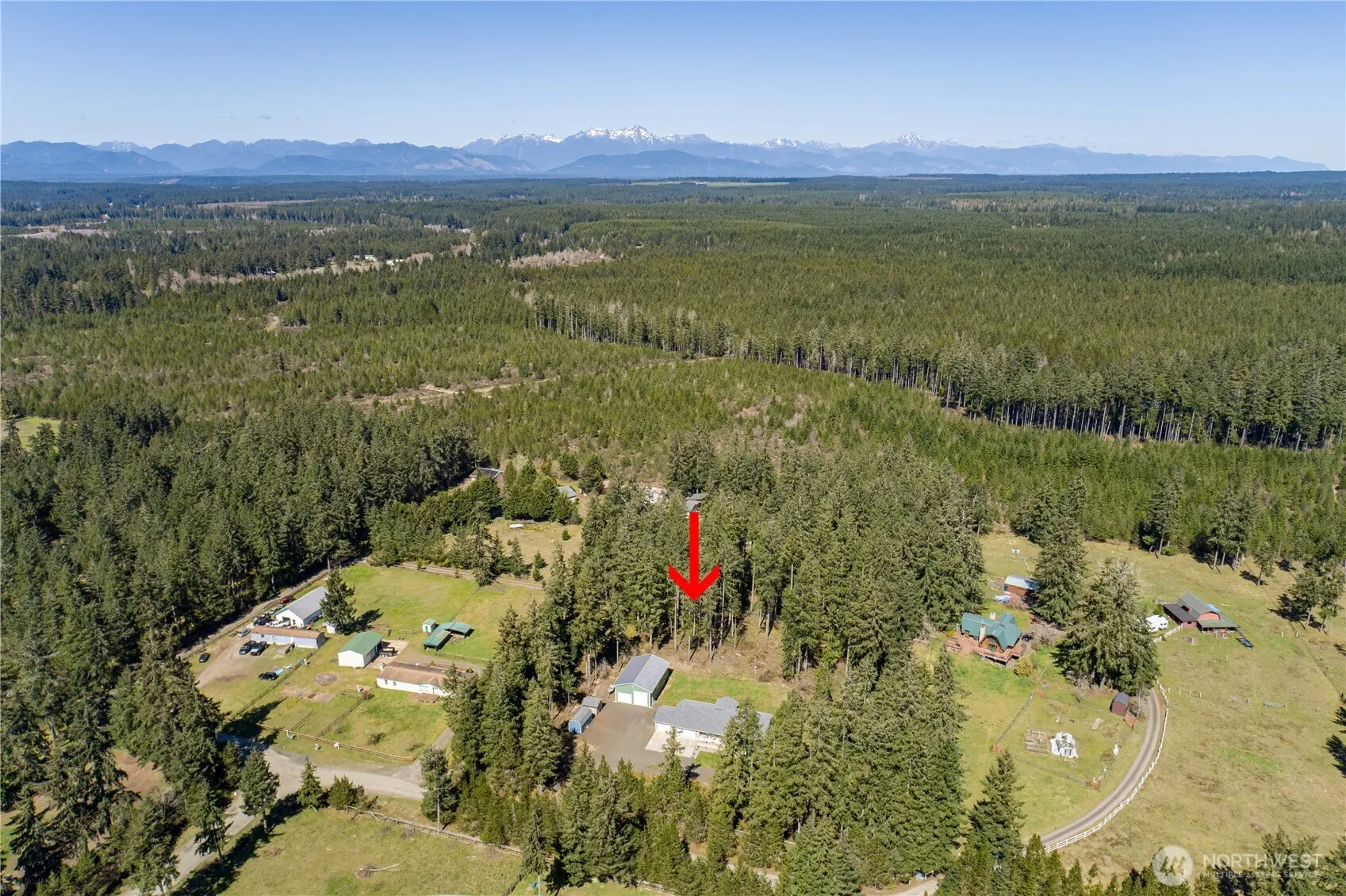 Property photo for 331 E Little Bear Lane, Shelton photo 4