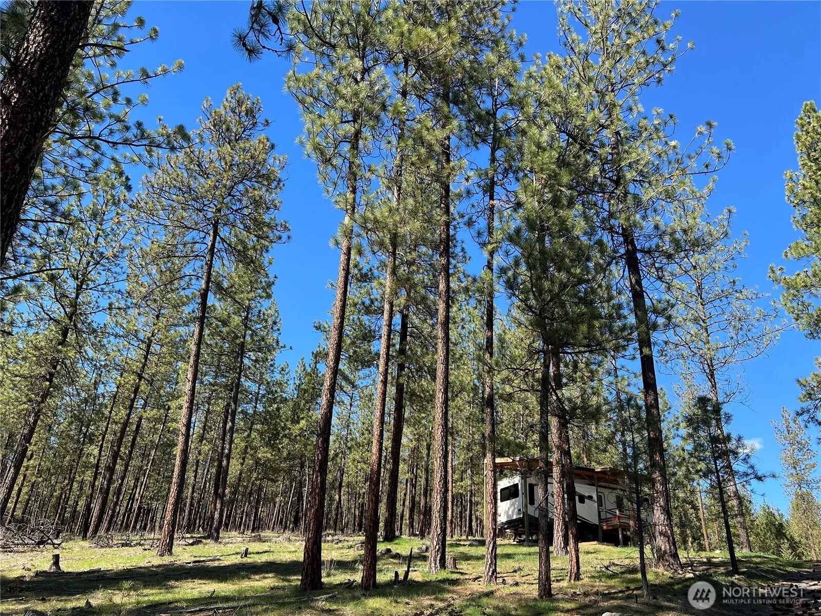 Property photo for 1069 B Kitt Narcisse Road, Colville photo 5