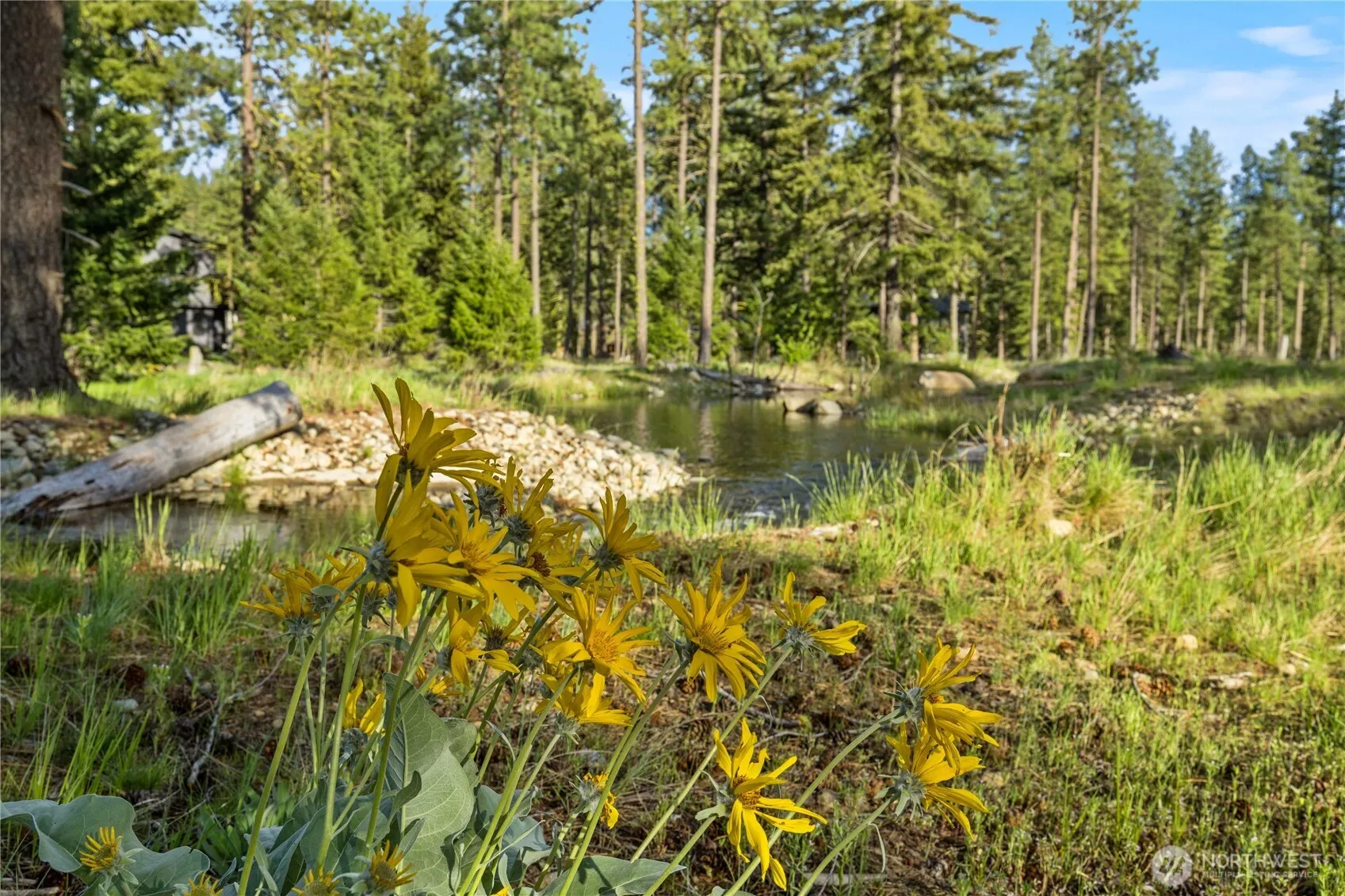 Property photo for 52 Wanawish Loop, Cle Elum photo 4
