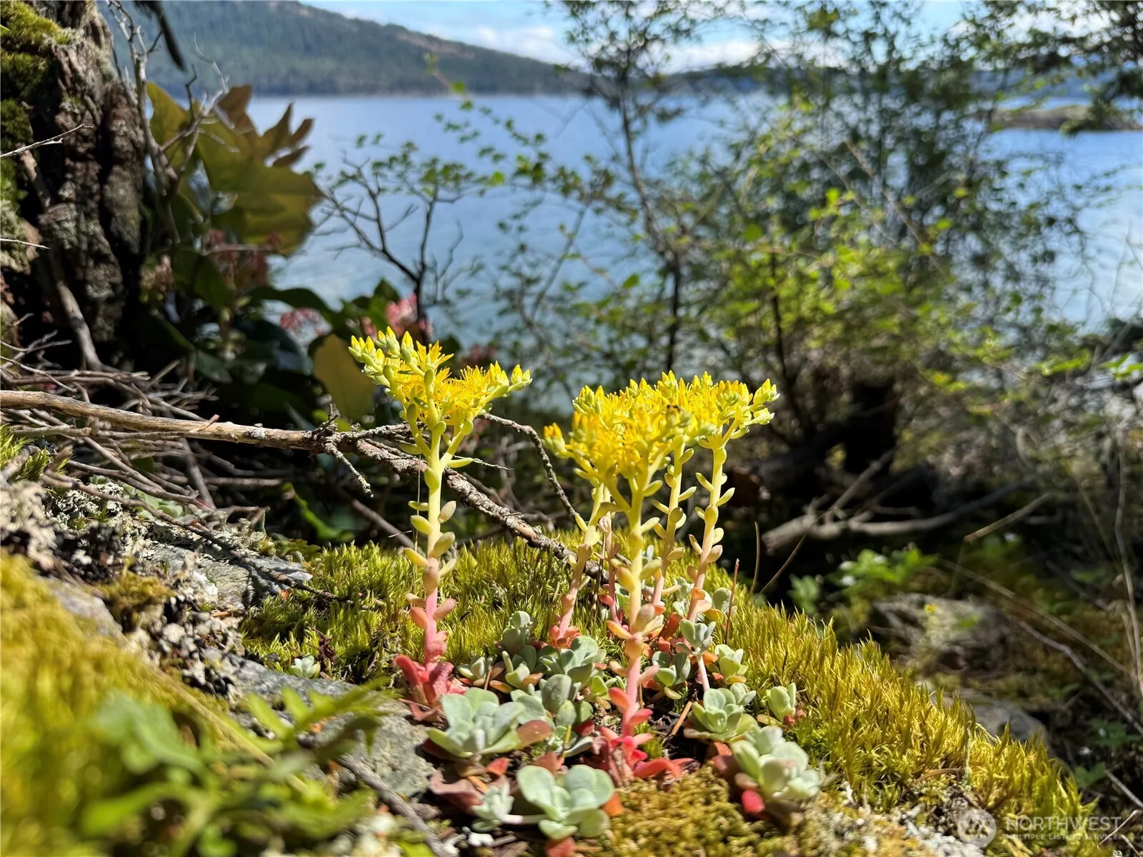 Property photo for 260 Grey Havens Loop, Orcas Island photo 4