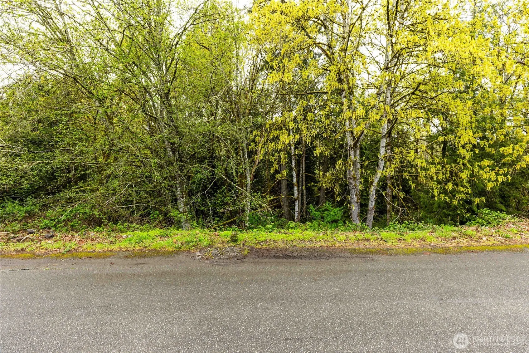 Property photo for 8865 Martin Avenue Nw, Silverdale photo 4