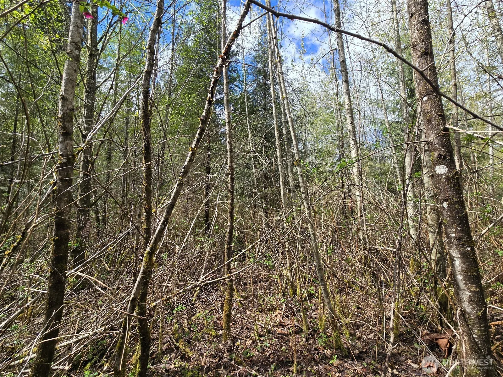 Property photo for 30 Xxx Ne Big Rock Road, Duvall photo 4