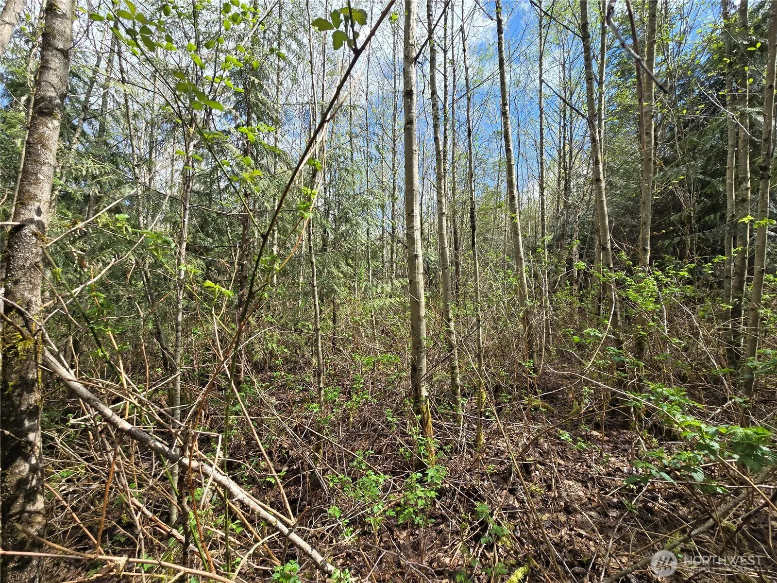 Property photo for 30 Xxx Ne Big Rock Road, Duvall photo 5