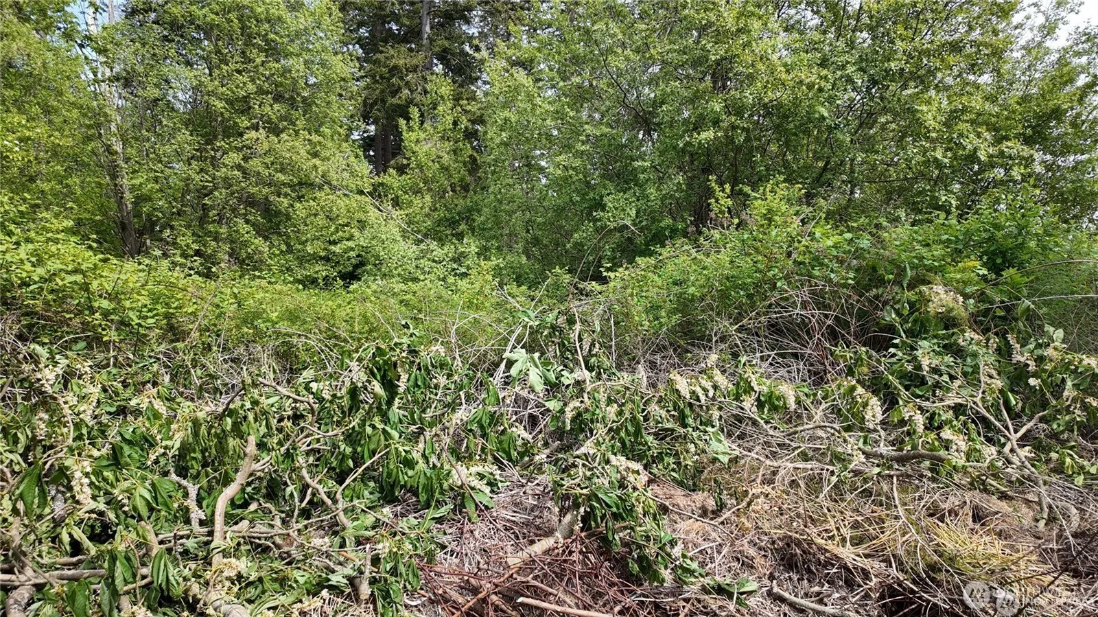 Property photo for 0 S Lake Campbell Road, Anacortes