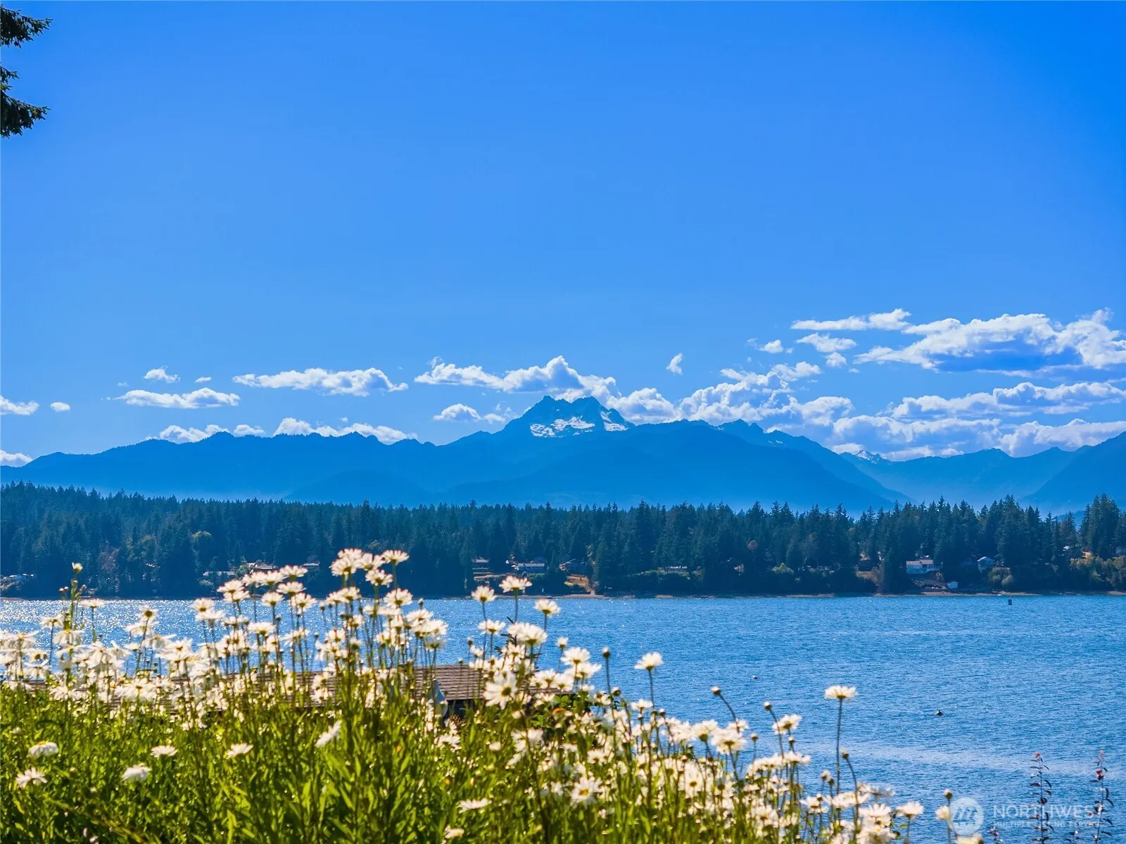 Property photo for 13282 Seabeck Hwy Nw, Seabeck photo 4