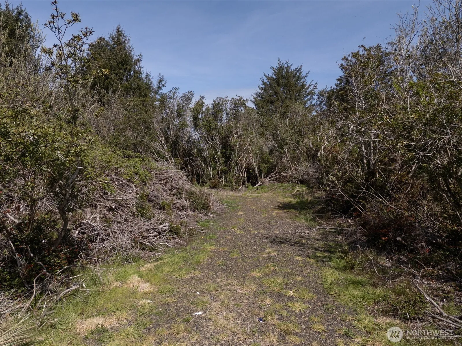 Property photo for 148 Marine View Drive Se, Ocean Shores photo 2