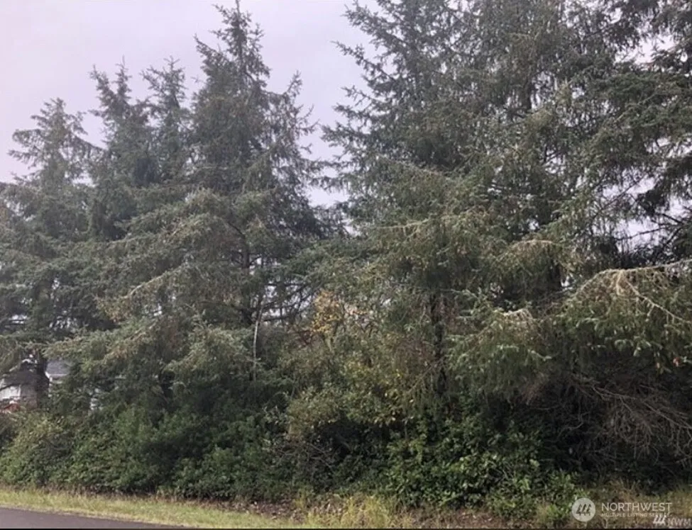 Property photo for 649 Weatherwax Loop Ne, Ocean Shores