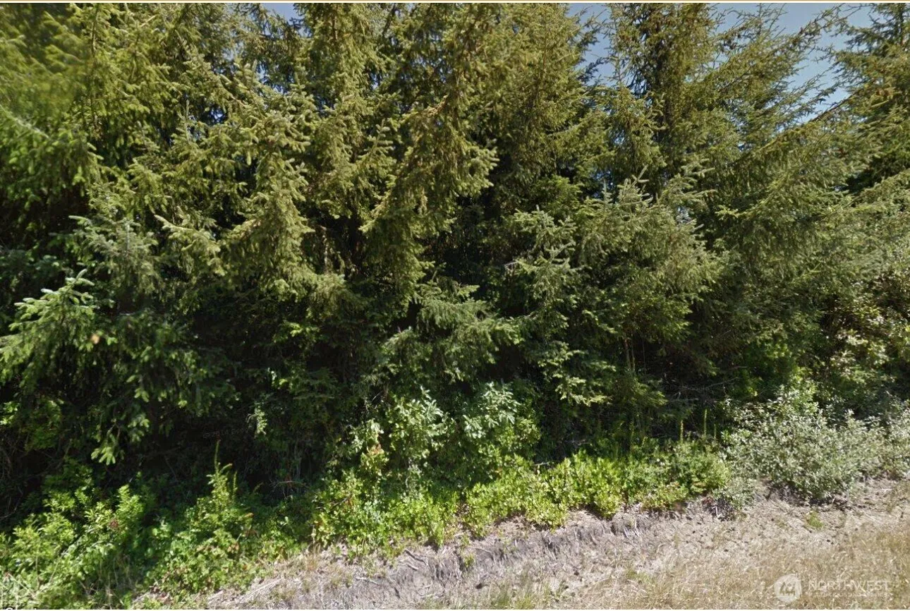Property photo for 814 Vagabond Avenue Sw, Ocean Shores