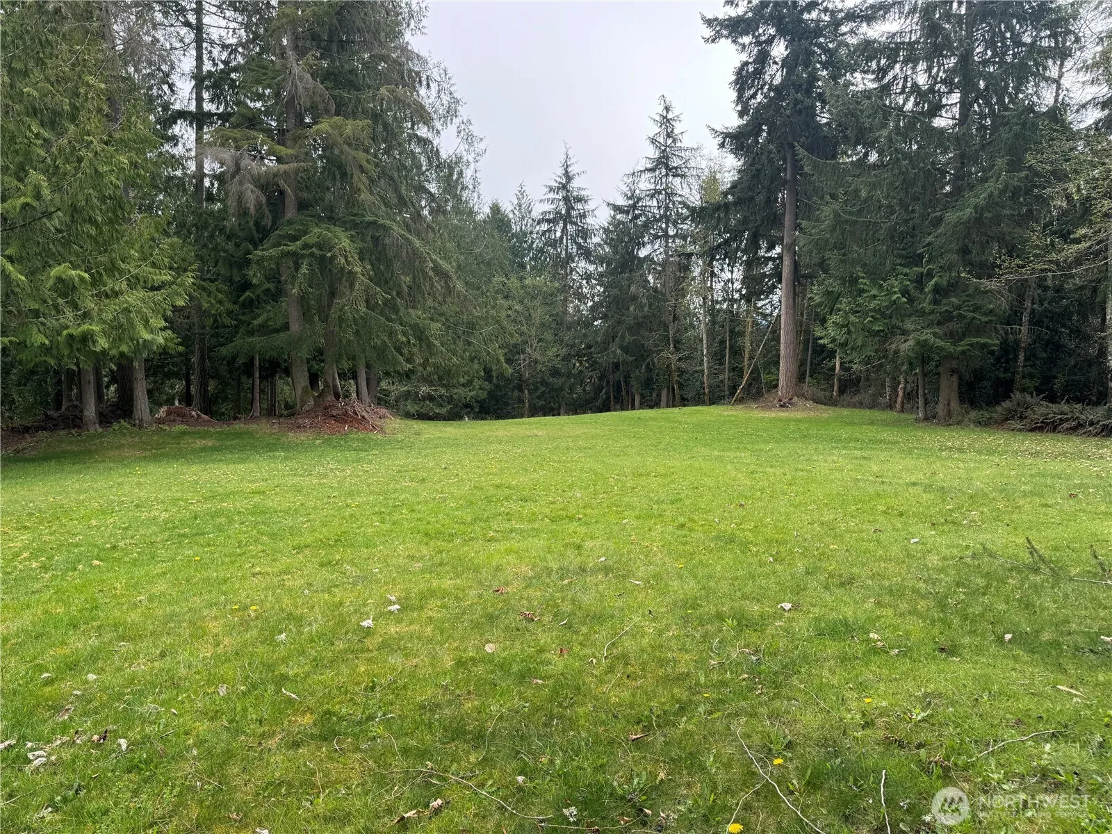 Property photo for 0 163rd Street E, Wilkeson