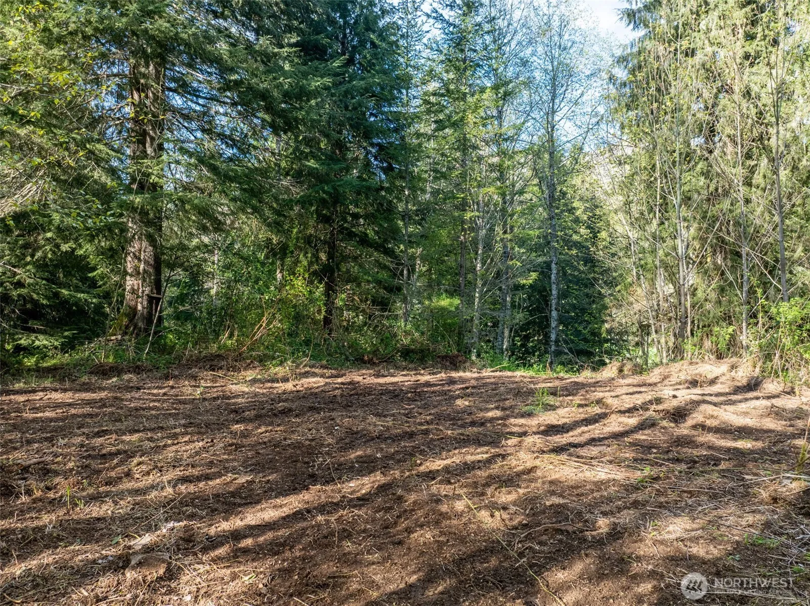 Property photo for 0 Davis Lake Road, Morton