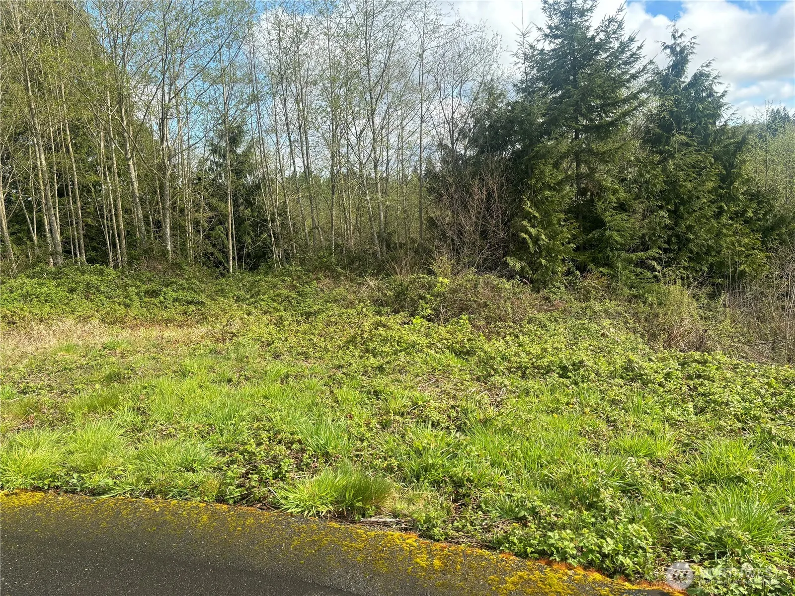 Property photo for 10 Timber Lane, Elma