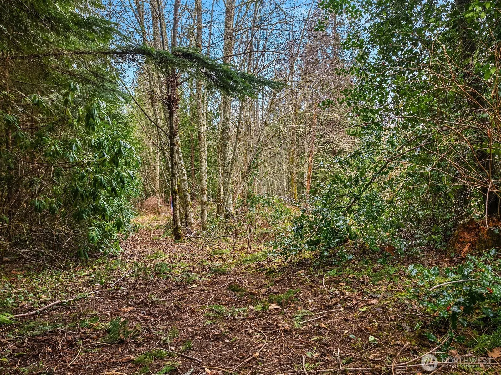 Property photo for 16 Xxx Se 259th Avenue, Issaquah