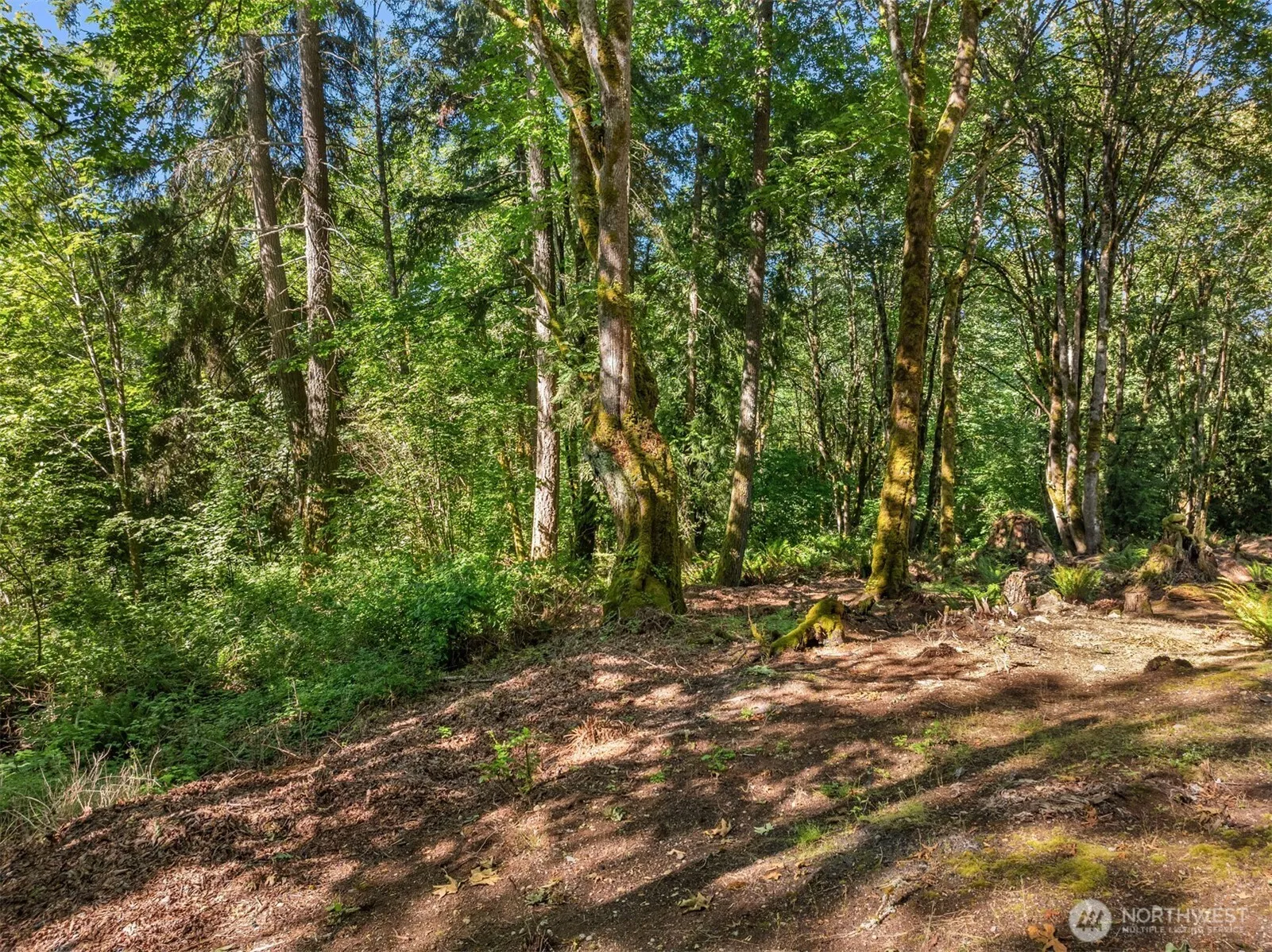 Property photo for 16 Xxx Se 259th Avenue, Issaquah photo 5