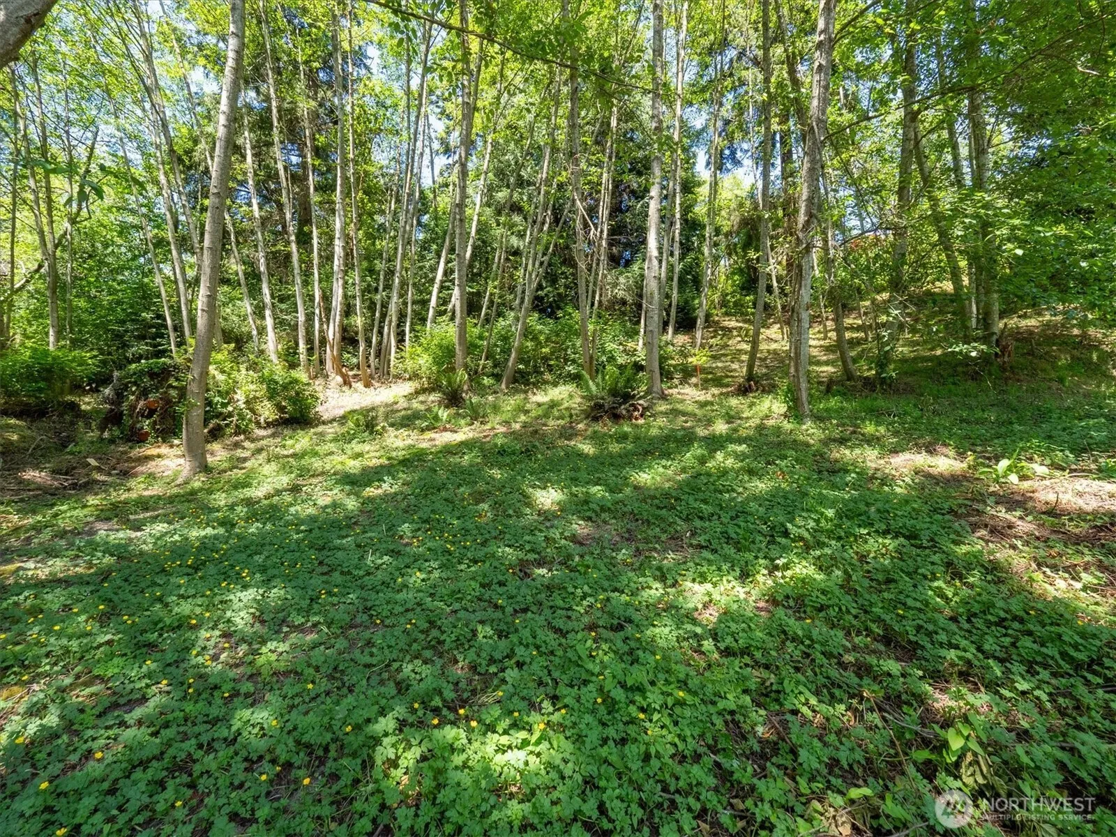Property photo for 152 154 N 175th Street, Shoreline photo 2
