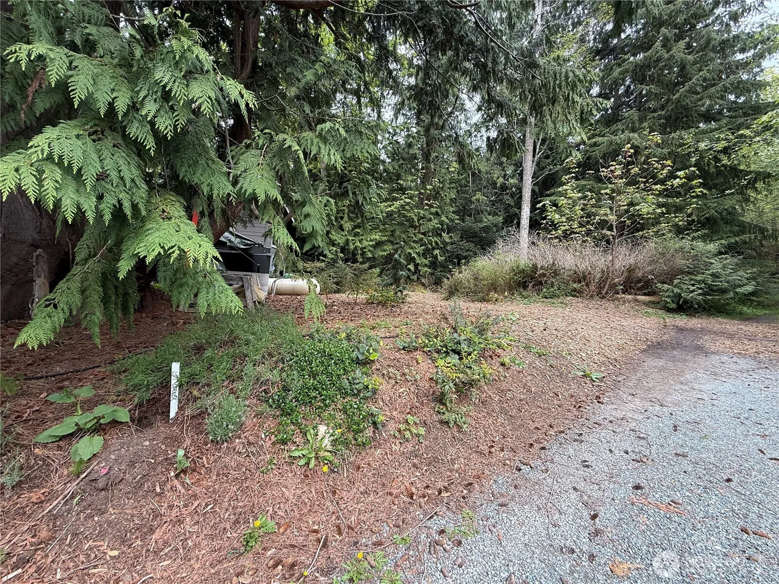 Property photo for 4408 Anaco Beach Road, Anacortes photo 5