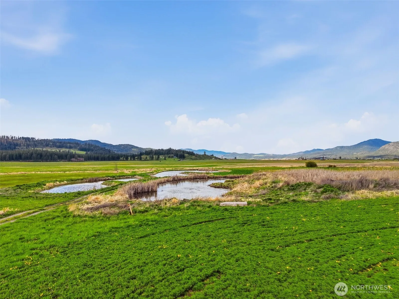Property photo for 27 Xx Newton Rd, Chewelah photo 5