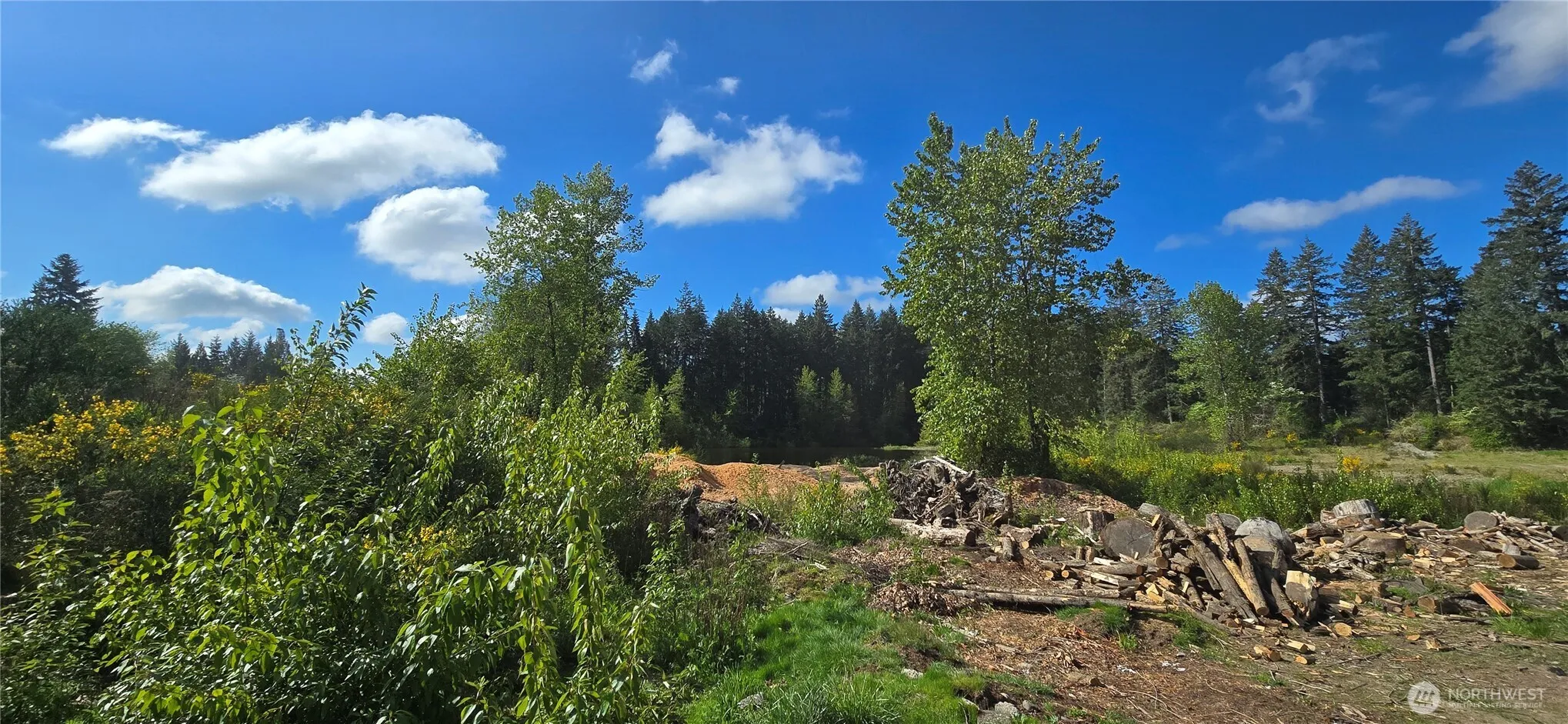 Property photo for 8411 Armstrong Road Sw, Tumwater photo 3