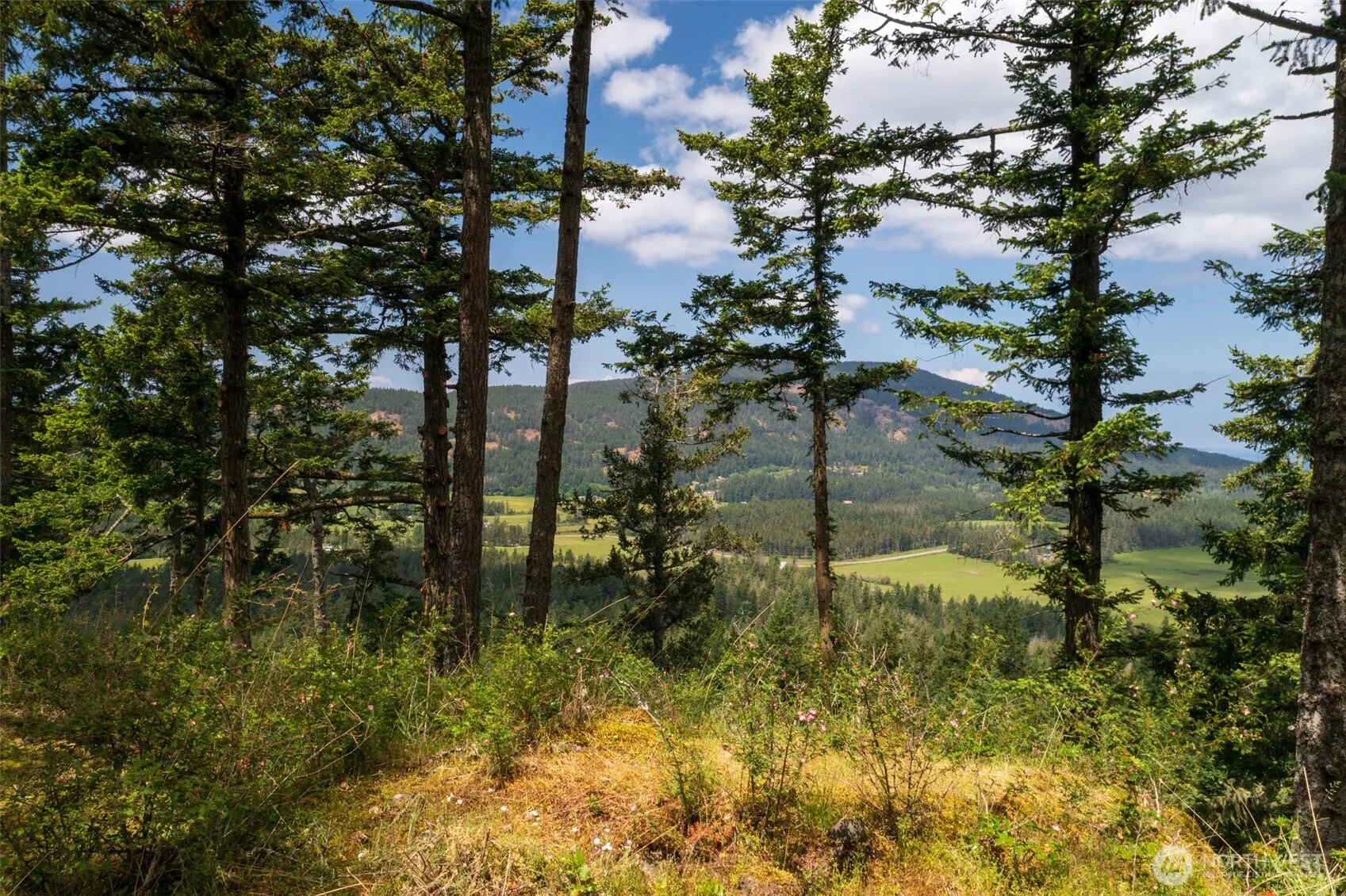 Property photo for 1700 Mountain Crest, Orcas Island photo 4
