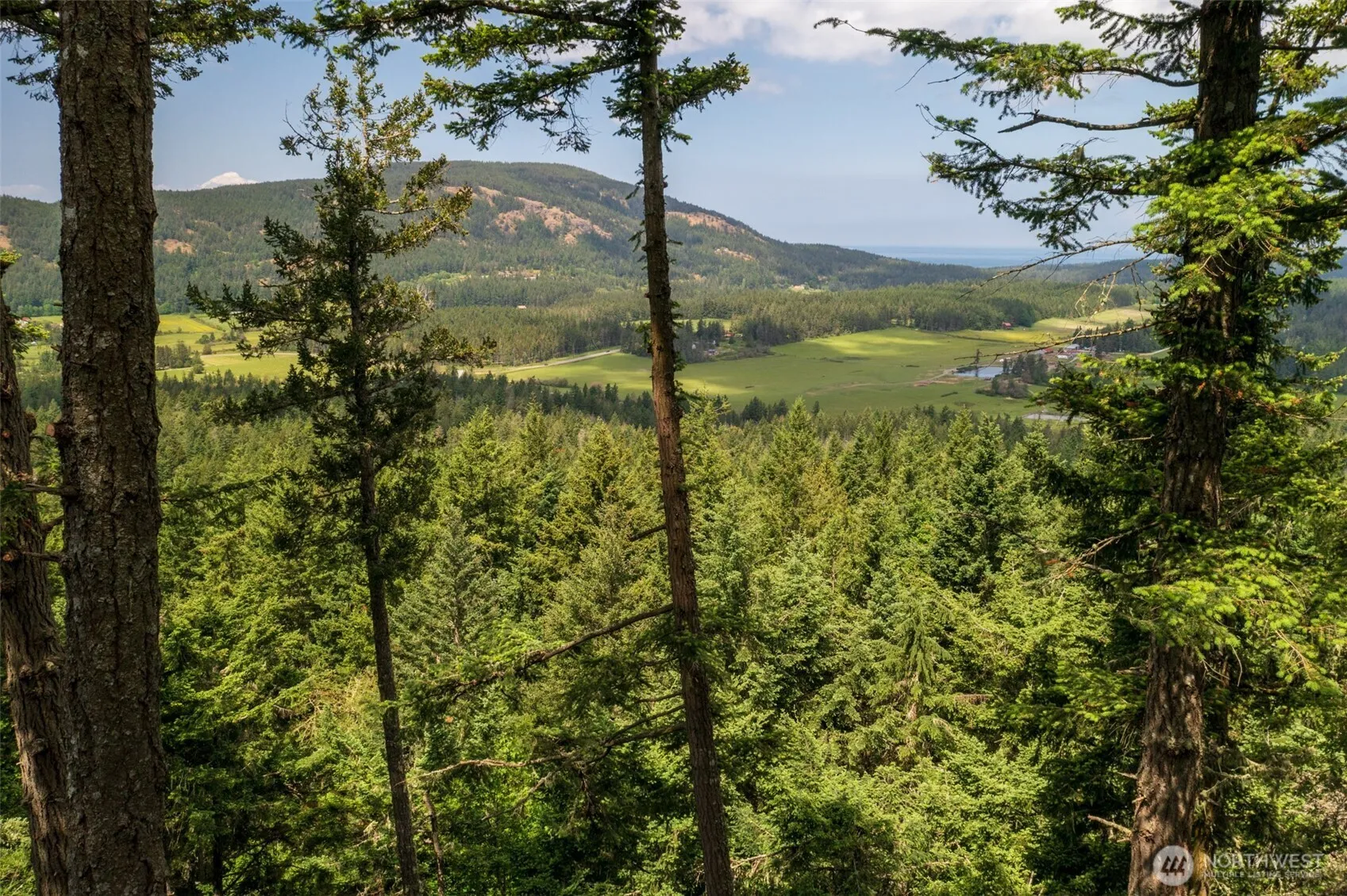 Property photo for 1700 Mountain Crest, Orcas Island photo 3