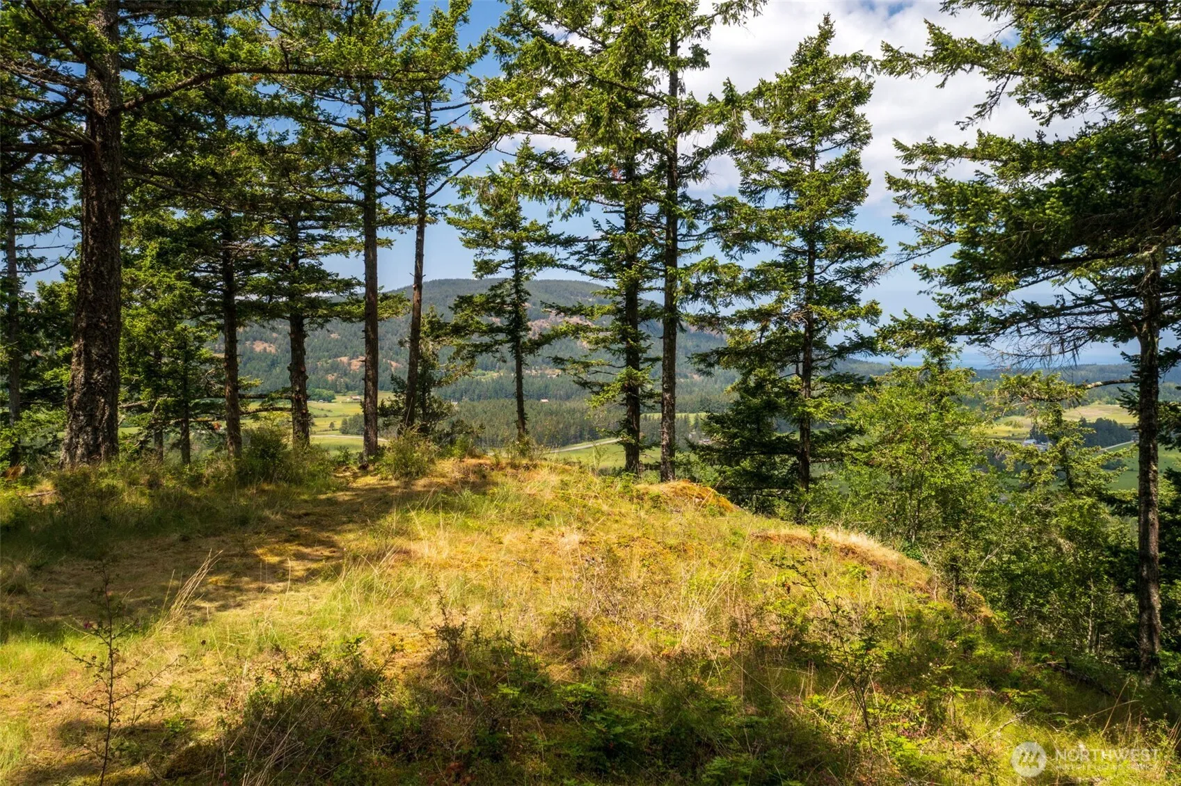 Property photo for 1700 Mountain Crest, Orcas Island photo 5