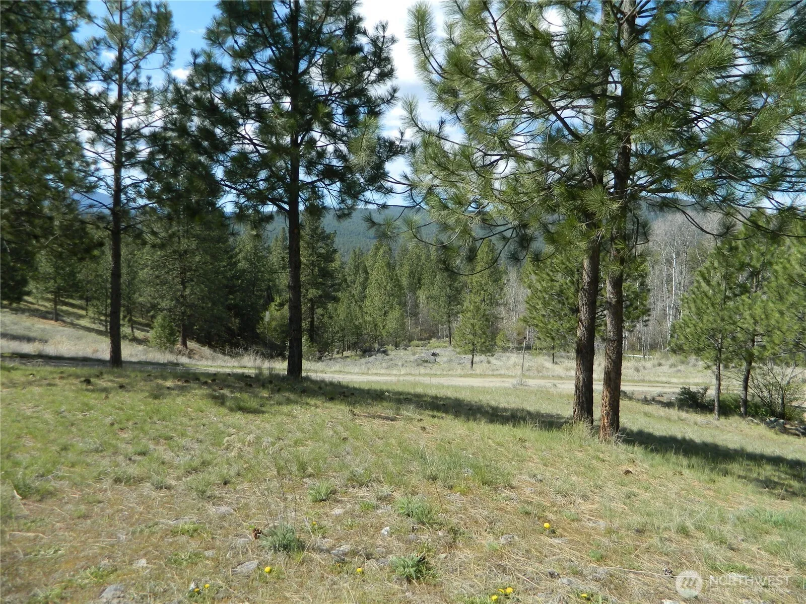 Property photo for 120 Sour Dough Creek Road, Tonasket photo 5