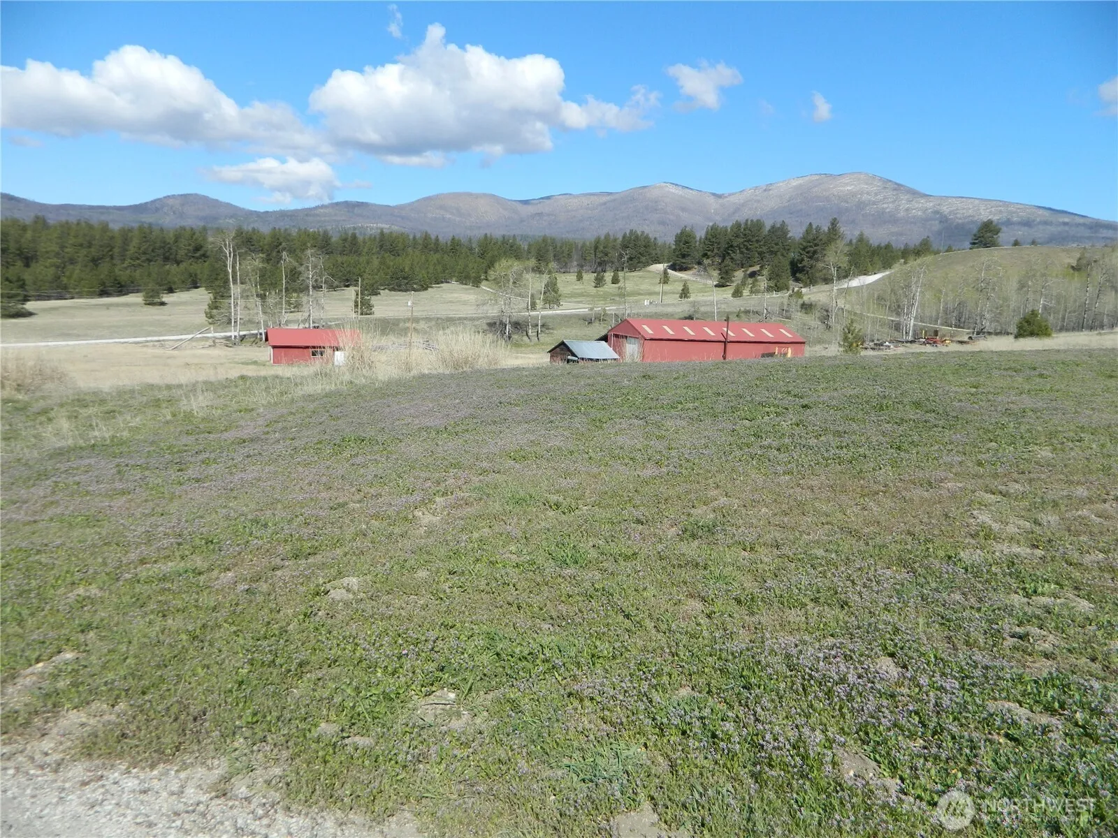 Property photo for 100 Summer, Tonasket photo 4