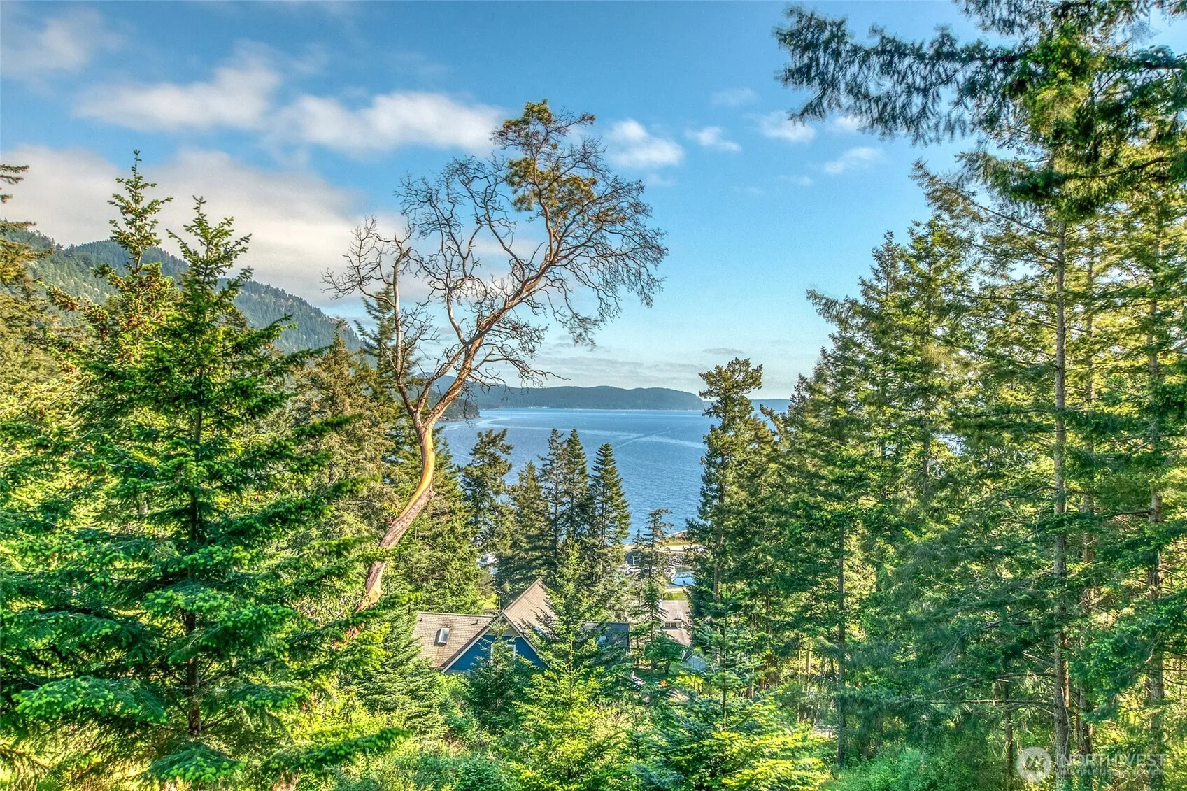 Property photo for 118 Cascade Way, Orcas Island photo 2