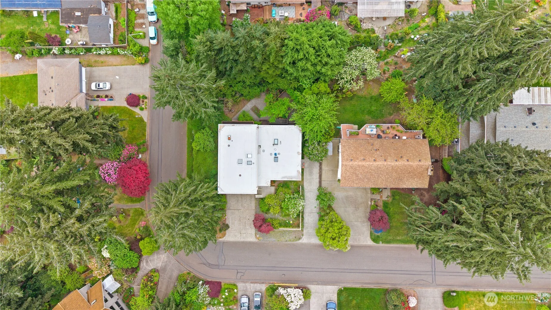 Property photo for 1217 Coral Drive, Fircrest photo 2