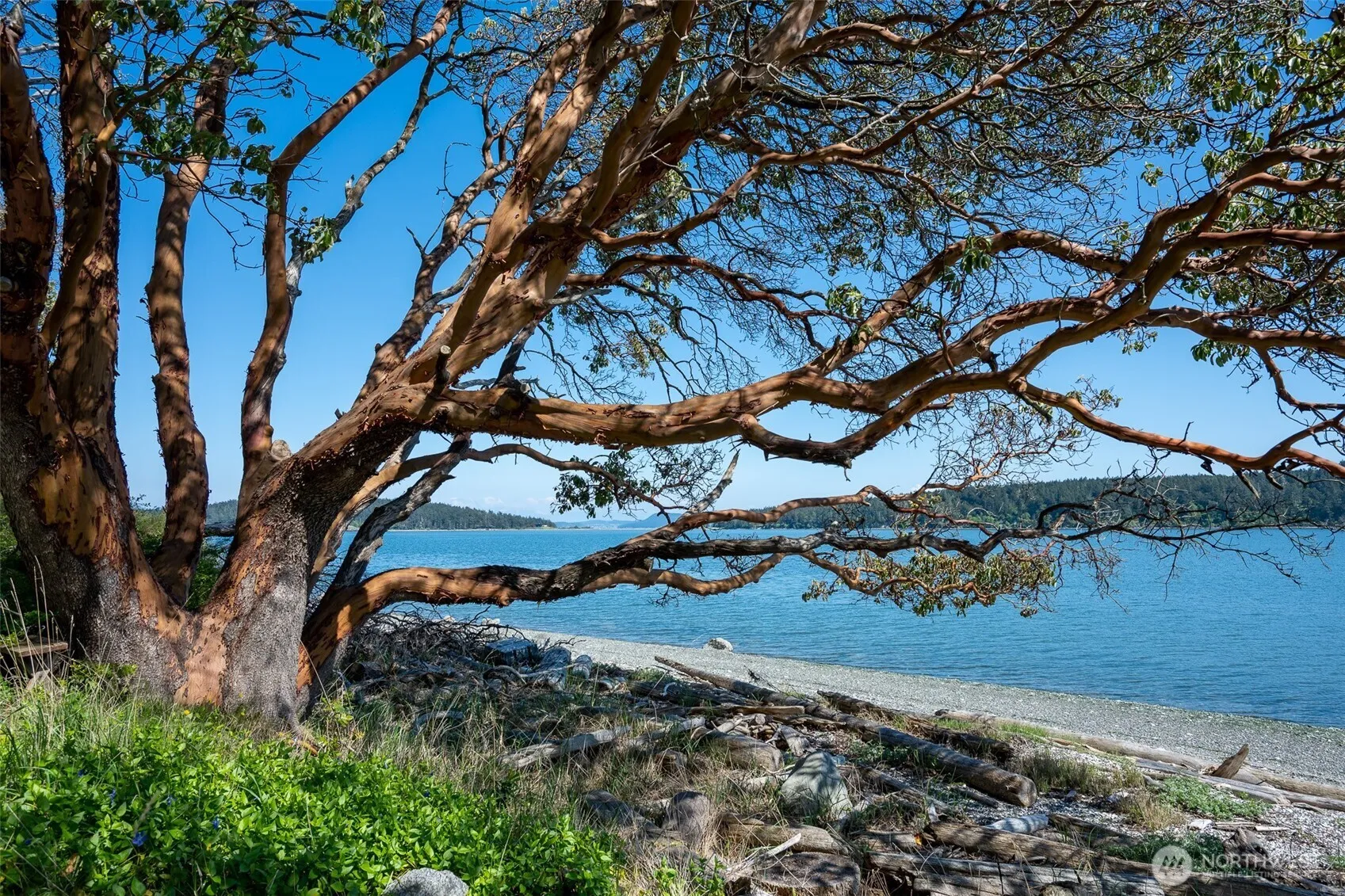 Property photo for 1484 Islandale Road, Lopez Island