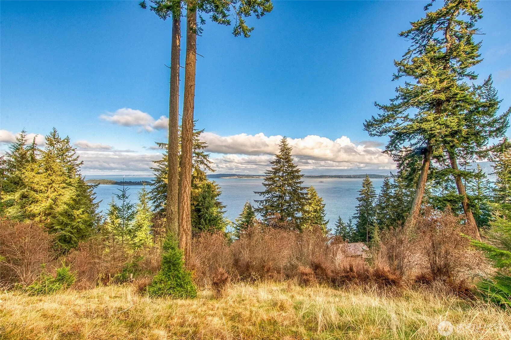 Property photo for 359 Georgia Strait Lane, Orcas Island photo 2