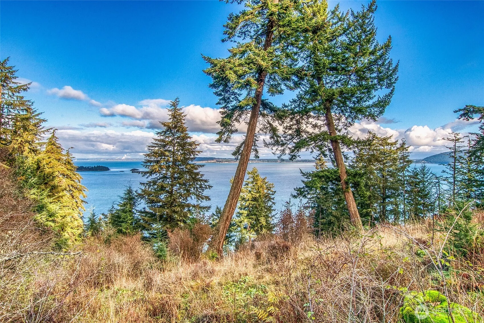 Property photo for 359 Georgia Strait Lane, Orcas Island photo 5