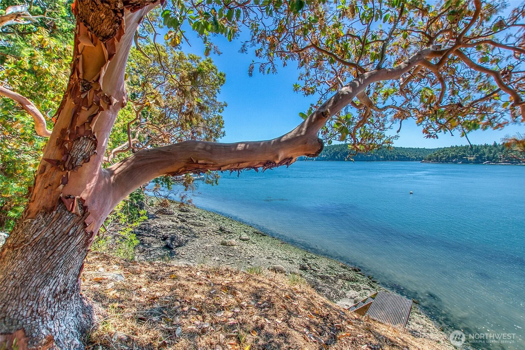 Property photo for 6998 Deer Harbor Road, Orcas Island photo 5