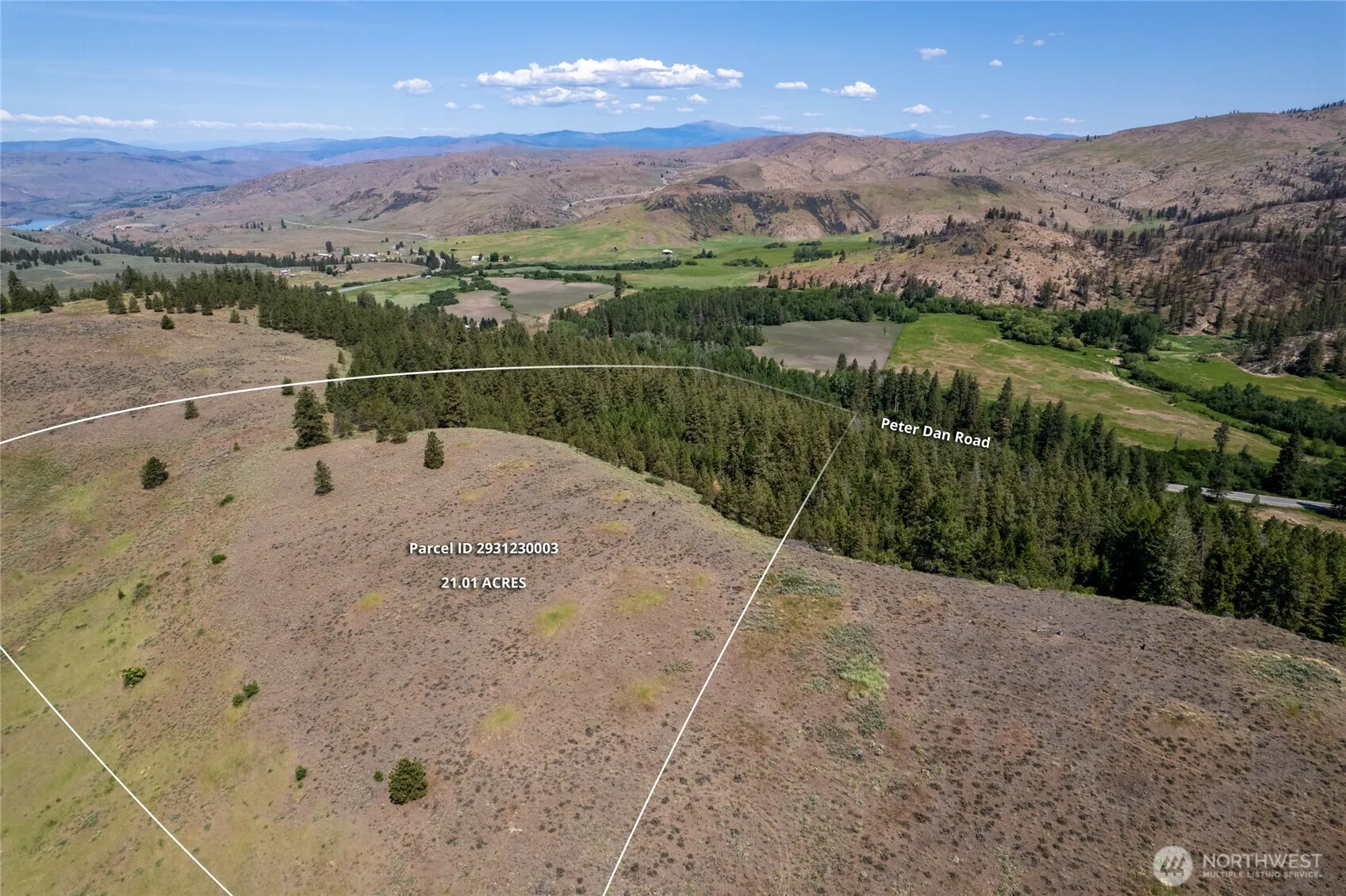 Property photo for 0 Peter Dan Rd, Coulee Dam photo 3