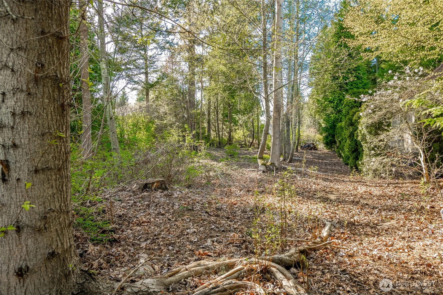 Property photo for 8647 Great Horned Owl Lane, Blaine photo 5