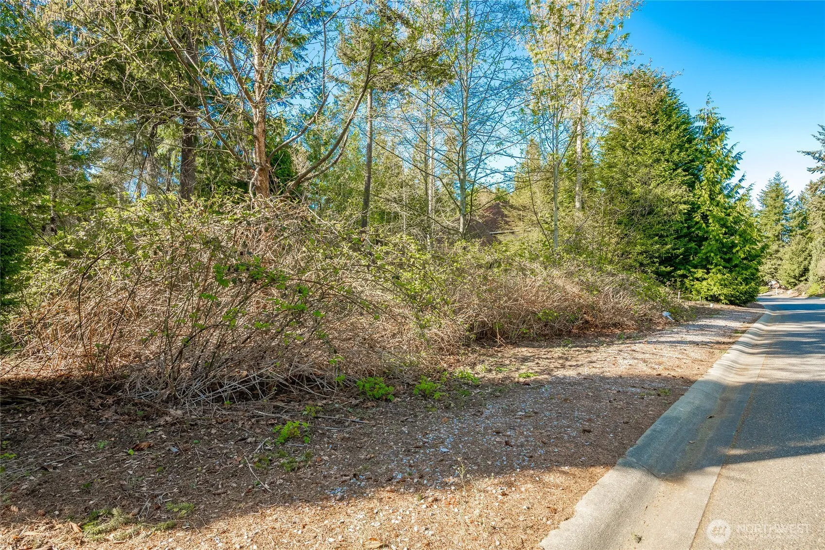 Property photo for 8647 Great Horned Owl Lane, Blaine photo 2