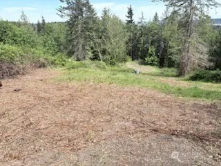 Property photo for 495 Louella Road, Sequim photo 5