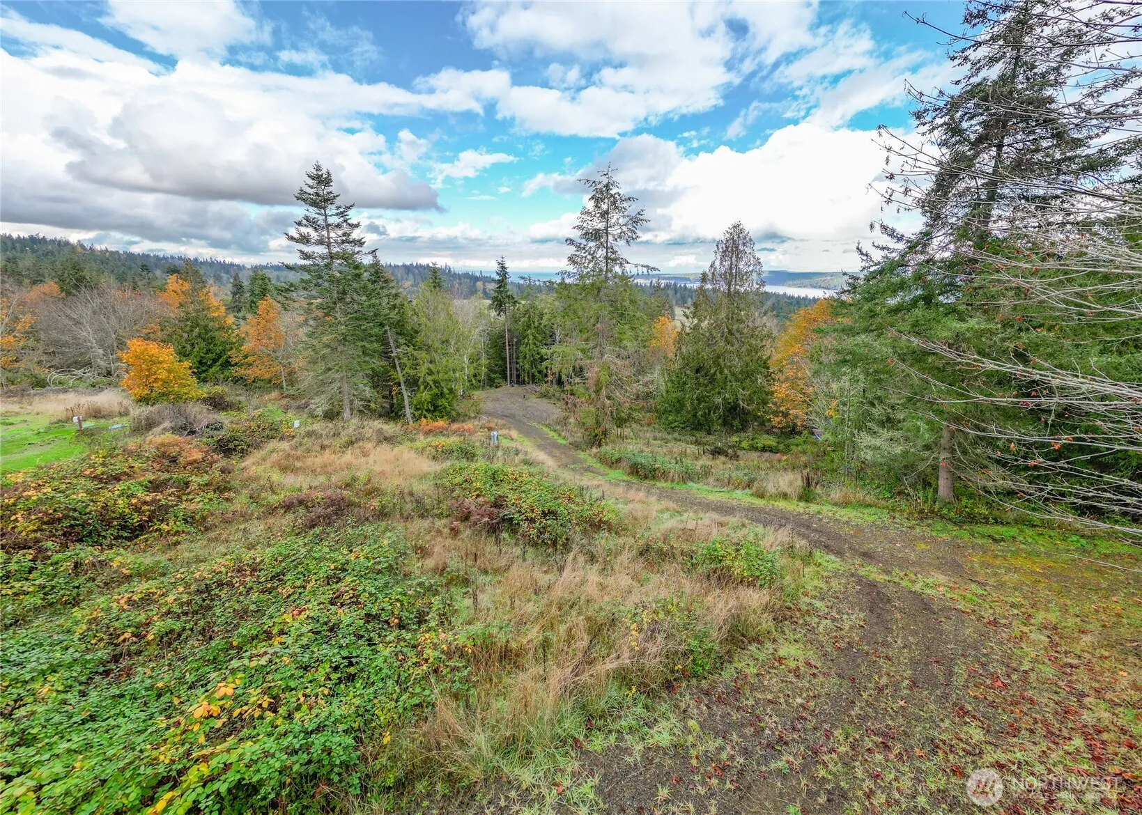 Property photo for 495 Louella Road, Sequim photo 3