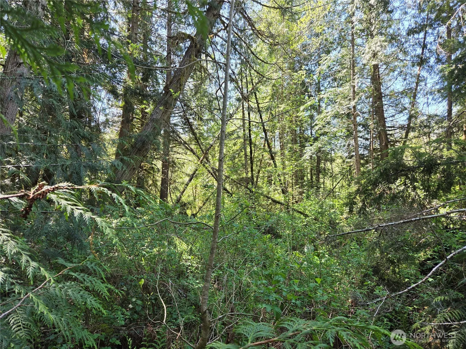 Property photo for 0 Falls Road, Randle