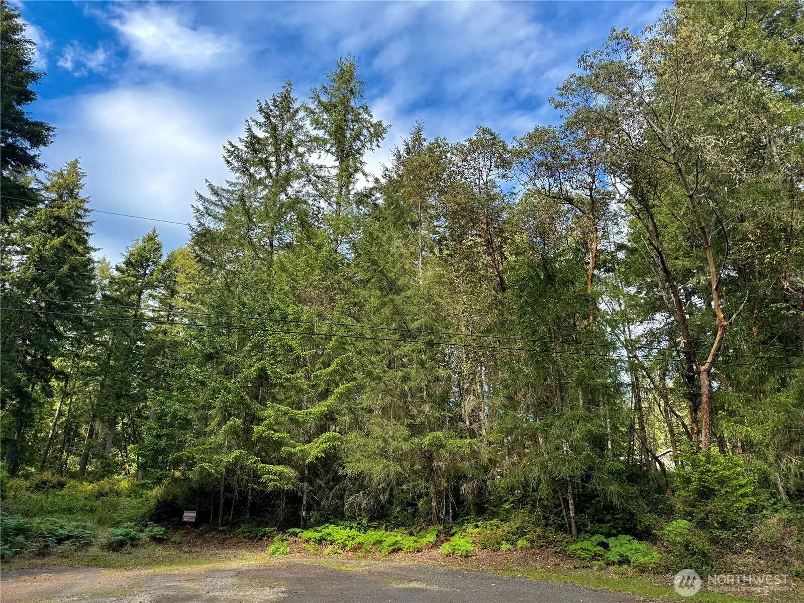 Property photo for 12027 Country Club Drive, Anderson Island