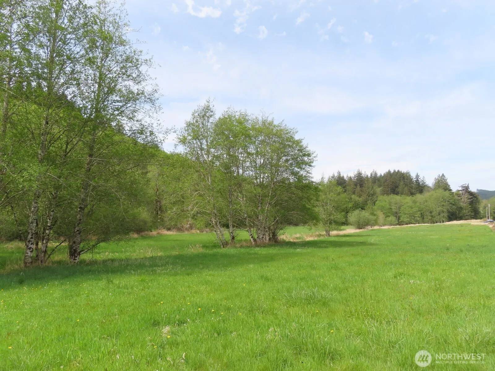 Property photo for 0 Xxx Hagen Road, Mossyrock