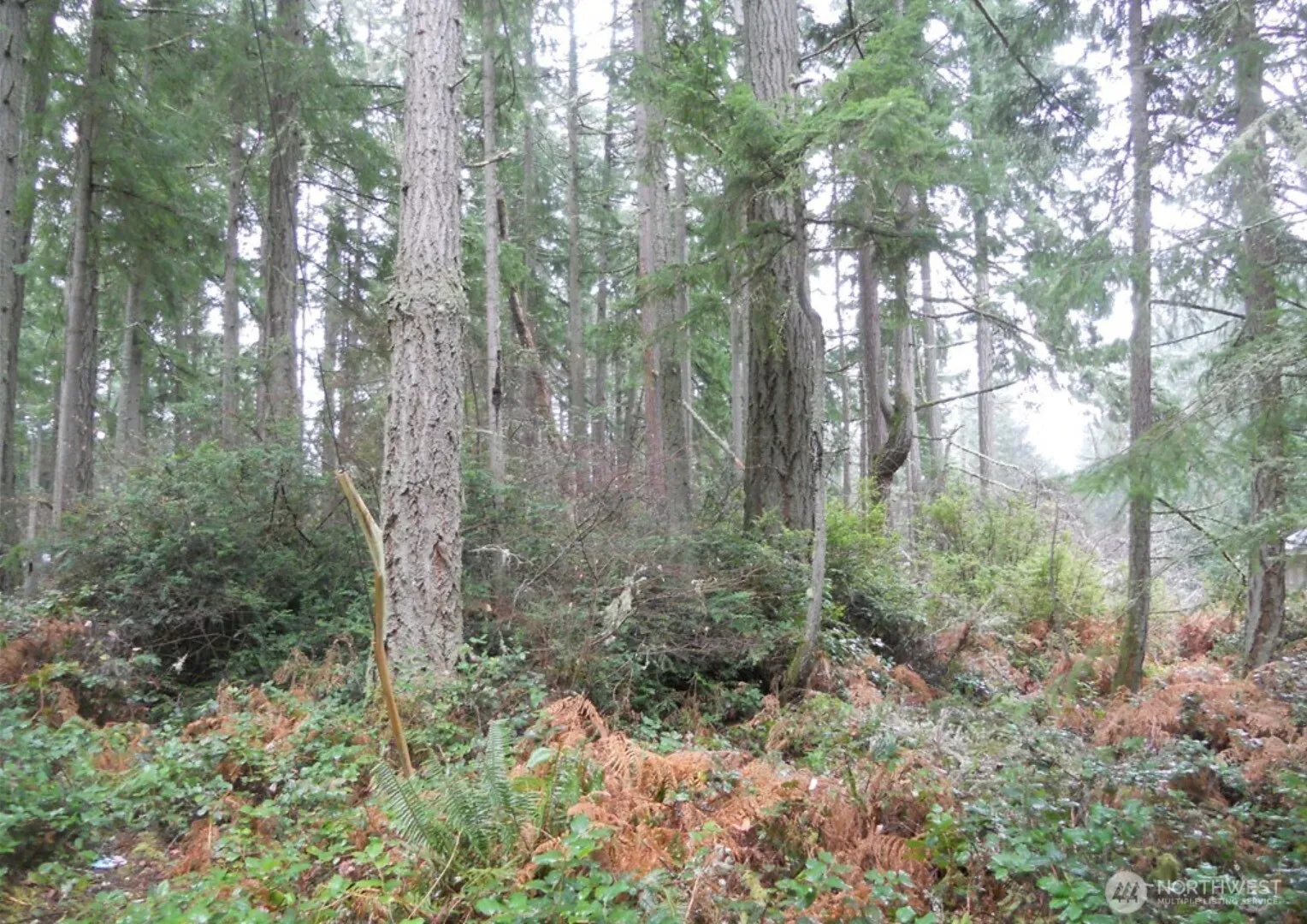 Property photo for 10315 107th Avenue Ct, Anderson Island