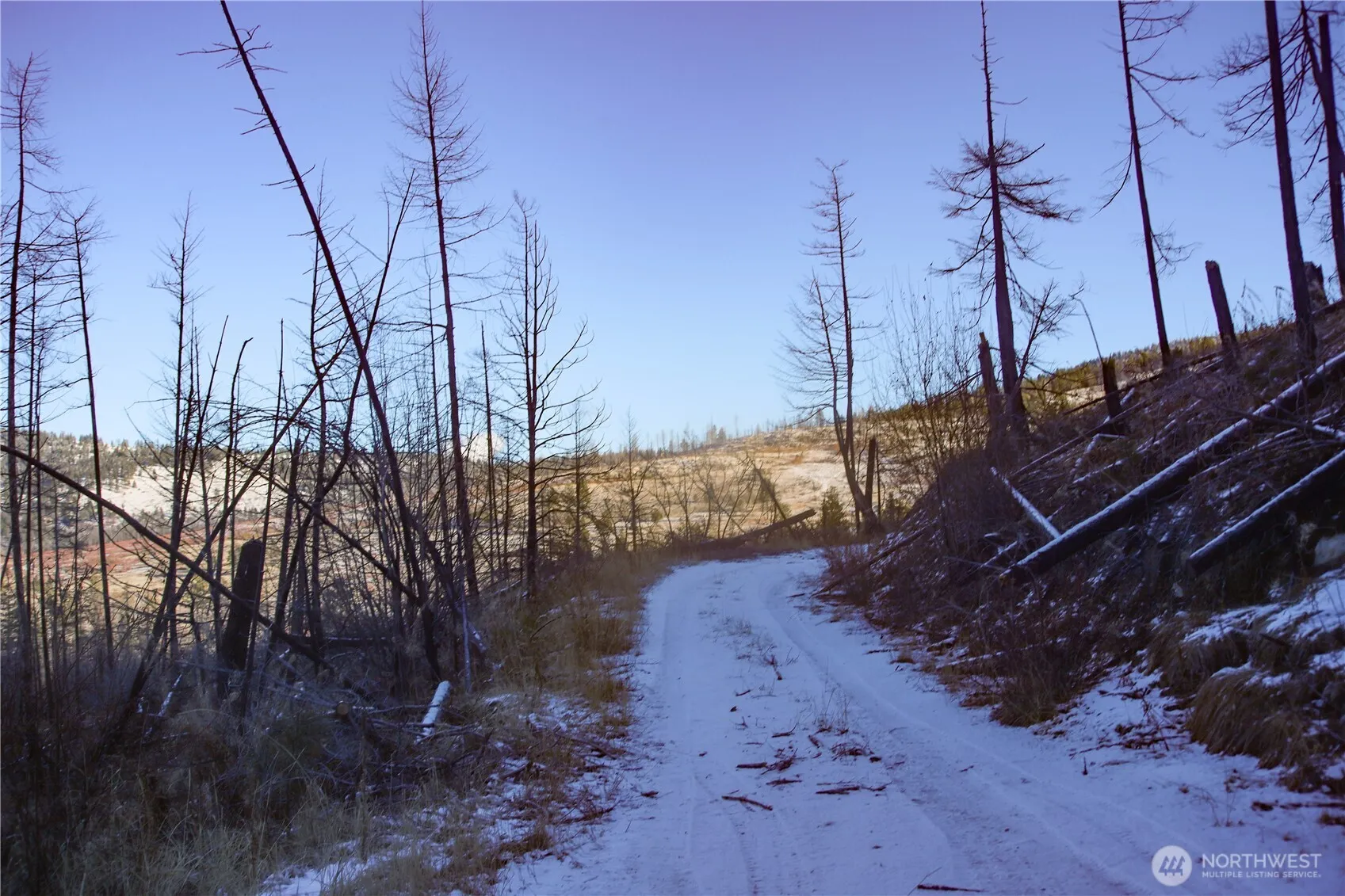 Property photo for 227 Red Feather (lot 17) Road, Tonasket photo 4