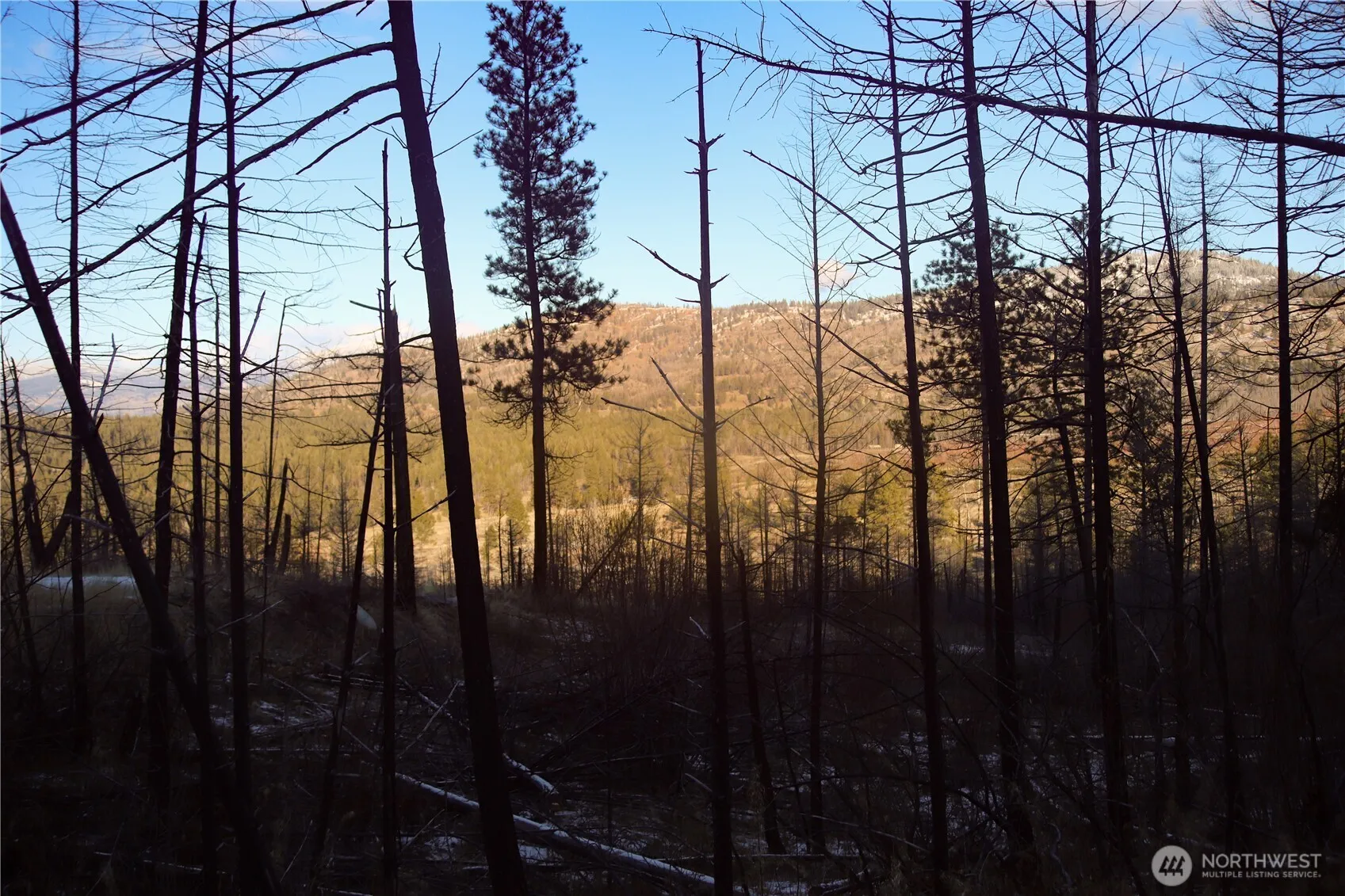 Property photo for 227 Red Feather (lot 17) Road, Tonasket photo 5