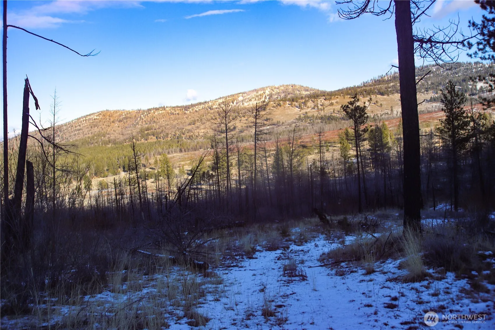Property photo for 227 Red Feather (lot 17) Road, Tonasket photo 3
