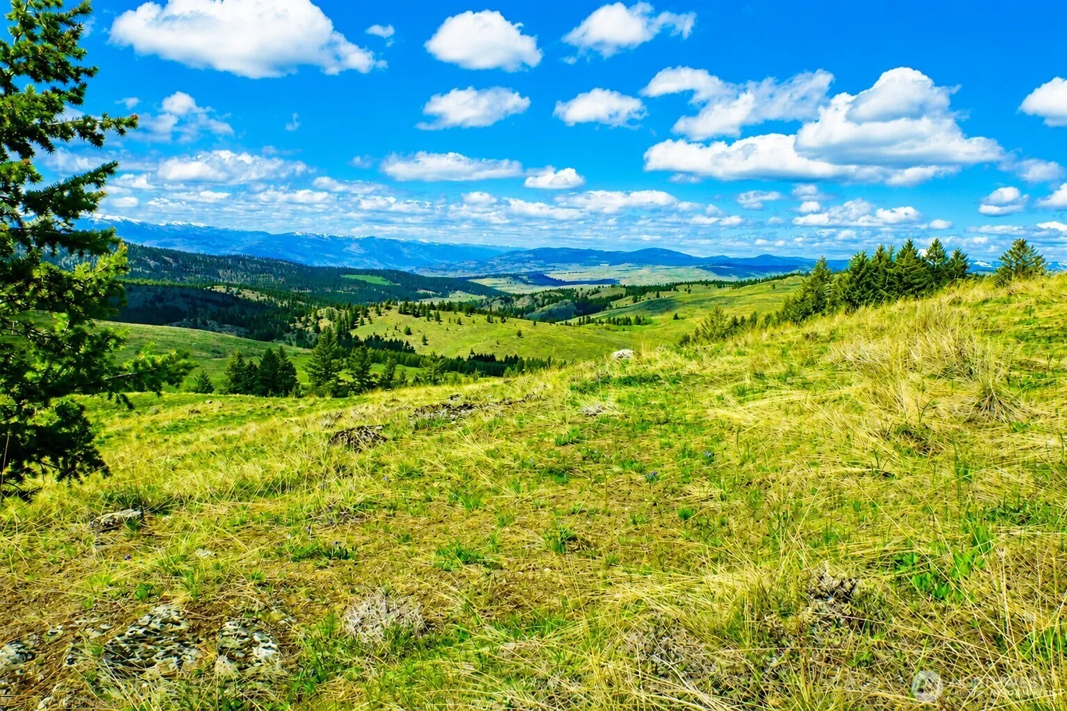 Property photo for 61 Janet Marie Road, Tonasket