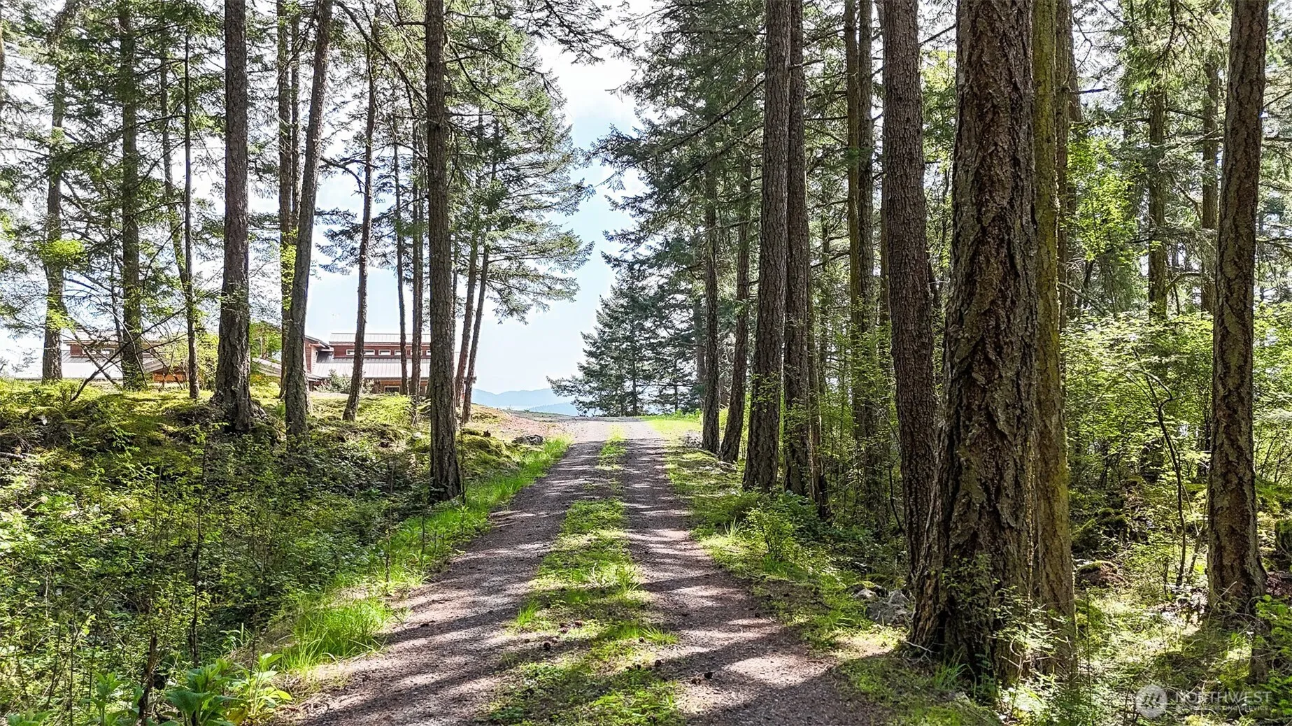 Property photo for 726 Pine Ridge Drive, Orcas Island photo 4
