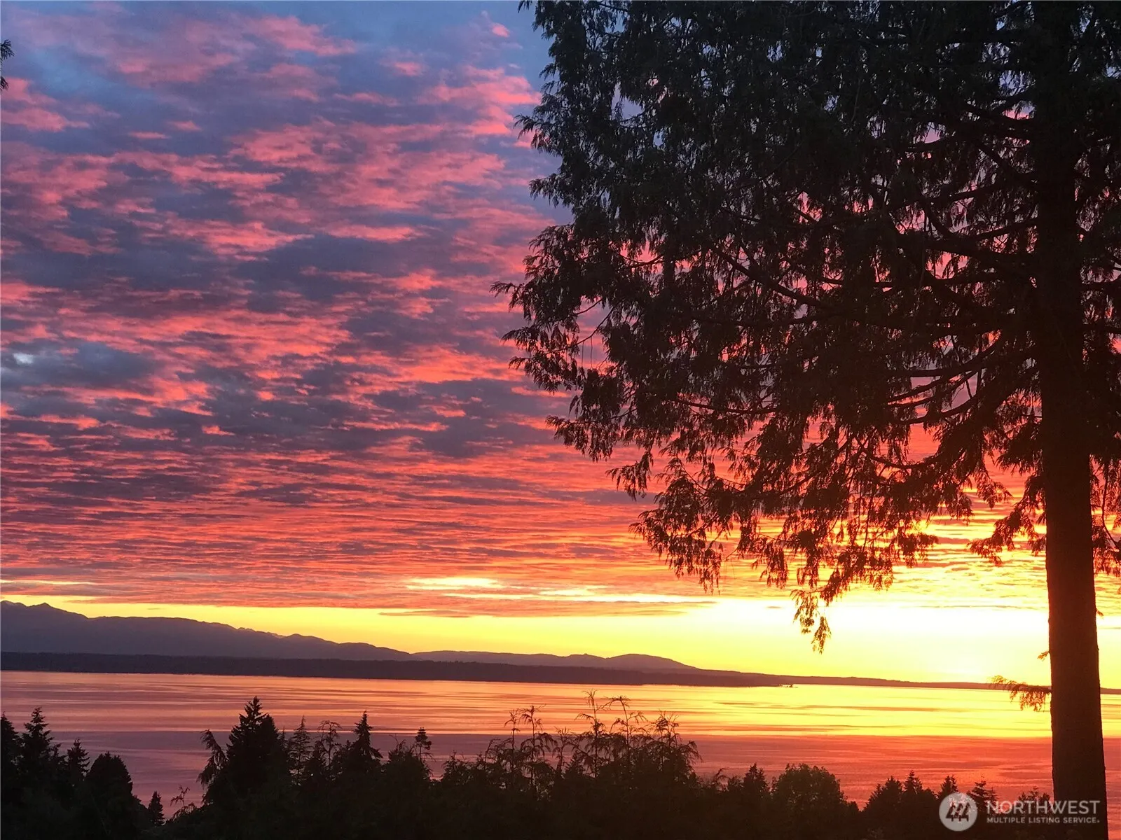 7393 Braemar Drive, Edmonds
